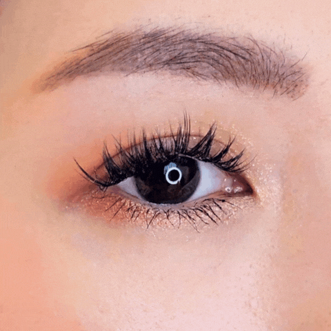 Close up footage of a female model's right eye repeatedly blinking and wearing HanaDolly's FLIRTY lash style to showcase the DIY lashes in action
