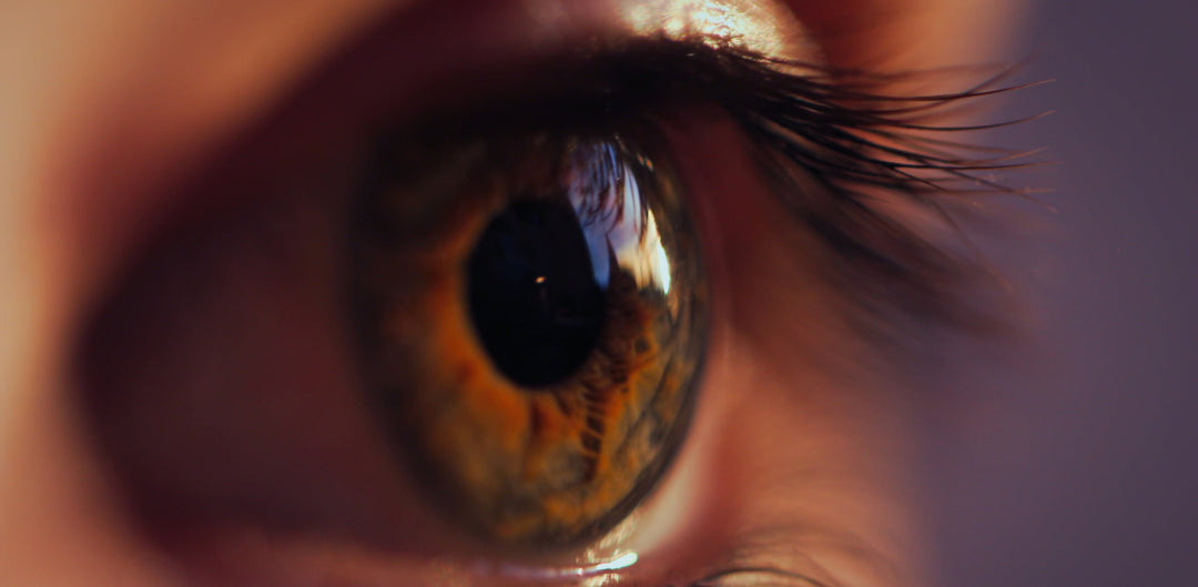 The Lash Growth Cycle - Complete Guide | Anagen, Catagen, Telogen