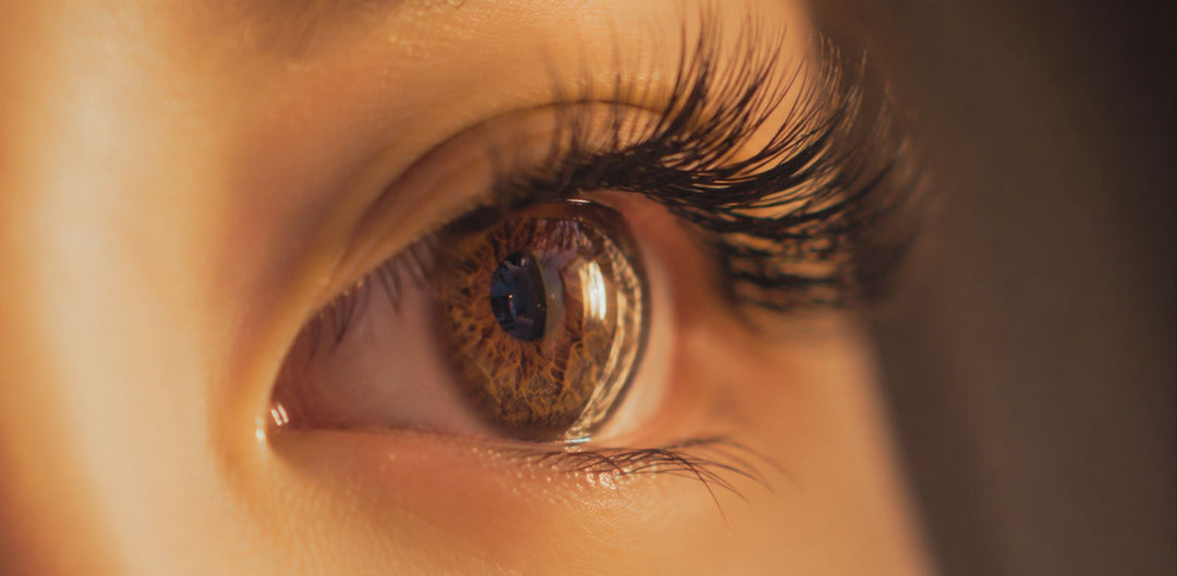 close up of asian model eyes with beautiful eyelashes