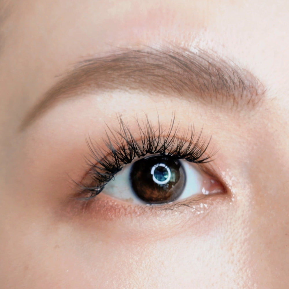 Close up picture of a beautiful female model's right eye wearing HanaDolly's CLASSY lash style to show the DIY lashes when worn - uniformed lash lengths for classic dolly look